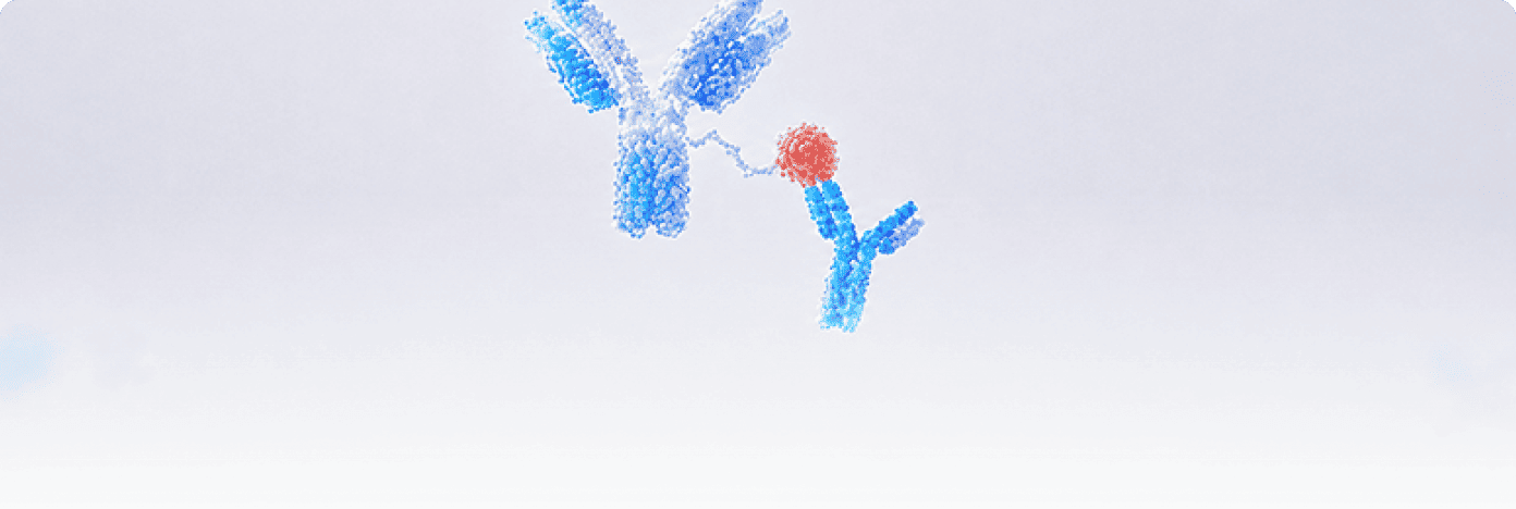Anti-Payload Antibodies